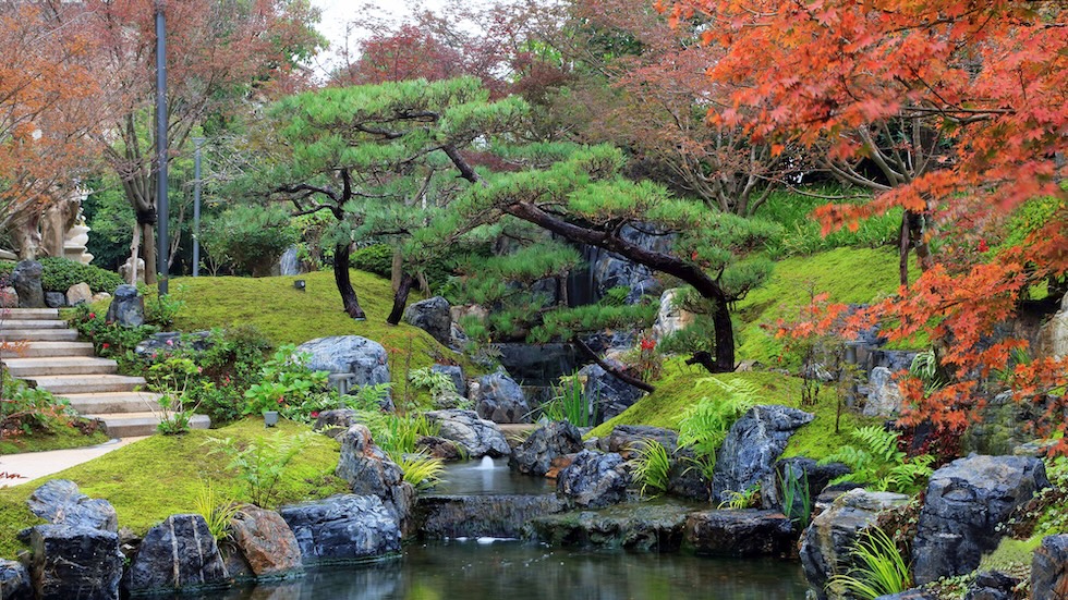 庭園景観・高齢者福祉研修事業